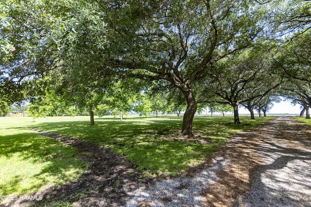 view of home's community with a yard