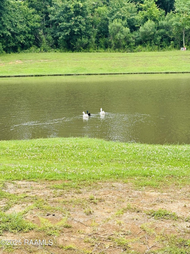 131 Wild Cherry Ln, Lafayette, LA 70508 - view of yard with a water view