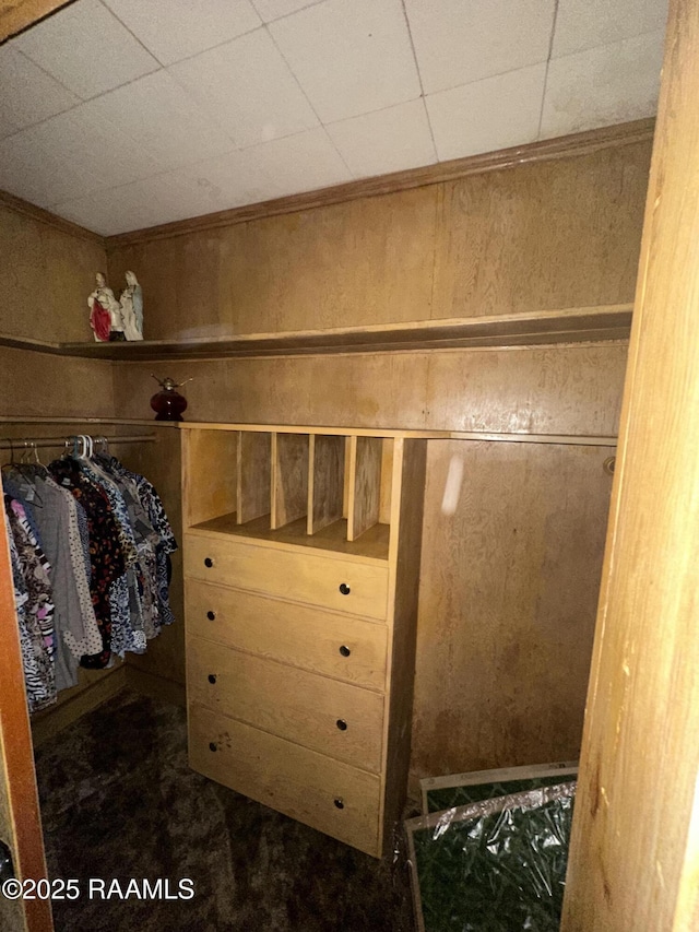view of closet