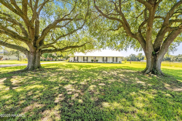 319 Roger Rd, Lafayette, LA 70507 - view of grassy yard