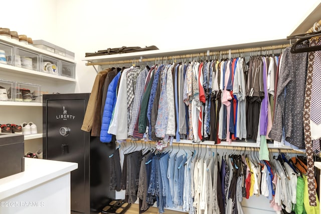 view of spacious closet
