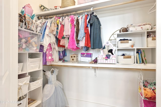 view of walk in closet
