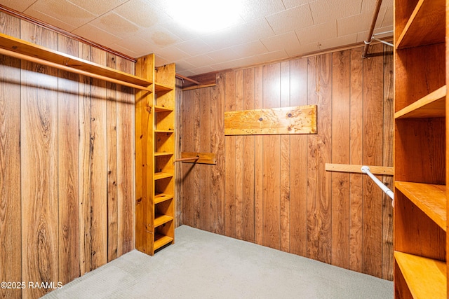 spacious closet featuring carpet