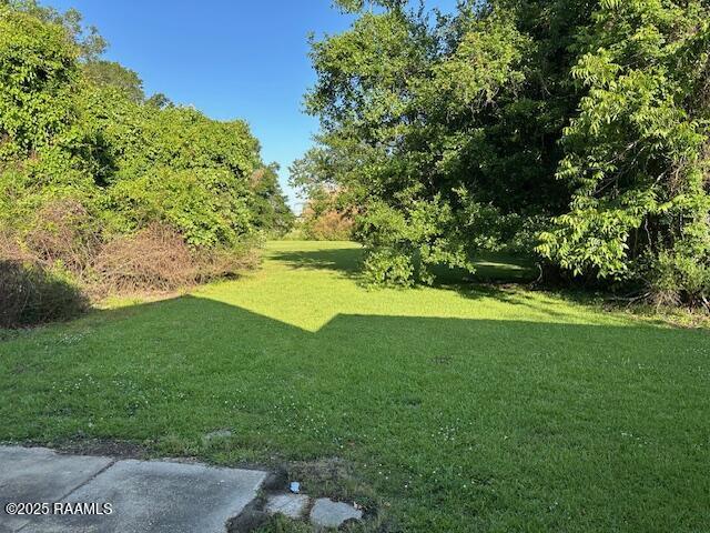 505 Fairview Ave, Abbeville, LA 70510 - view of green lawn