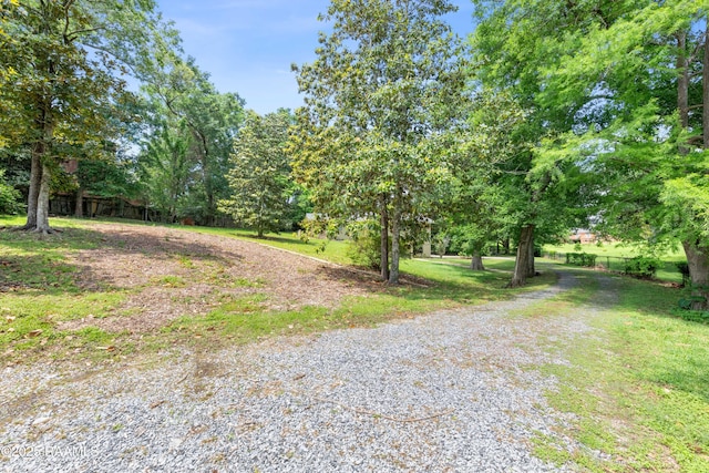 211 Wildwood Dr, Lafayette, LA 70503 - photo 6