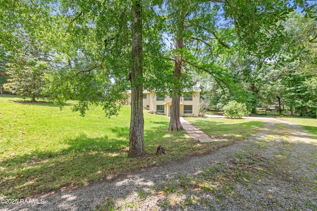 211 Wildwood Dr, Lafayette, LA 70503 - photo 4