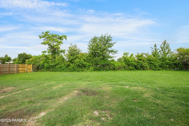 1405 Pelican St, New Iberia, LA 70560 - view of yard