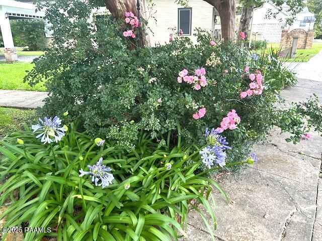122 Lee St, New Iberia, LA 70560 - exterior view