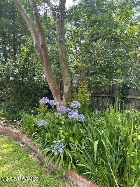 122 Lee St, New Iberia, LA 70560 - view of yard