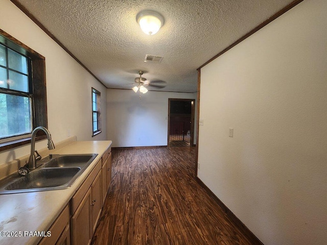 kitchen featuring a sink, a textured ceiling, light countertops, dark wood-style floors, and a ceiling fan