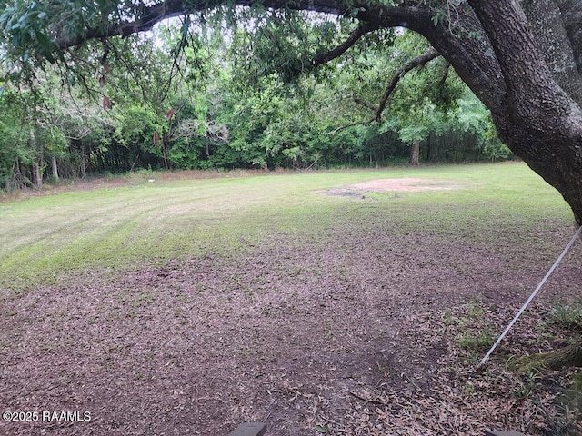 view of yard featuring a forest view