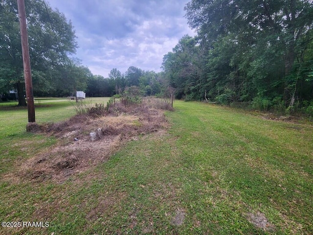 view of yard with a forest view