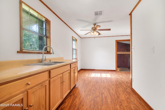 1003 Adonis Rd, Breaux Bridge, LA 70517 - photo 14
