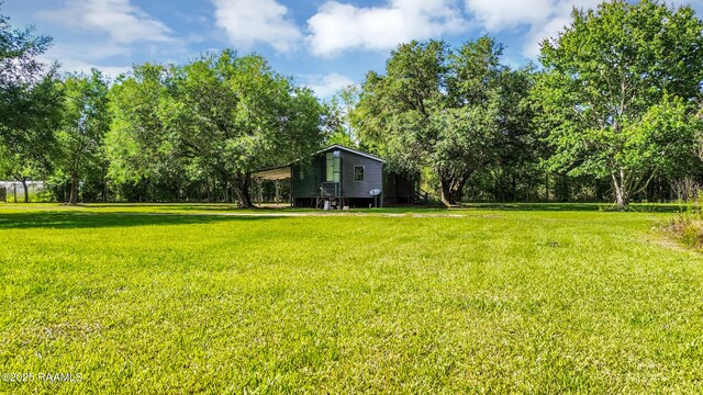 1003 Adonis Rd, Breaux Bridge, LA 70517 - photo 29