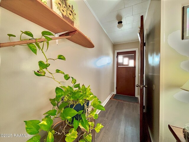 514 Louisa St, Morgan City, LA 70380 - photo 30