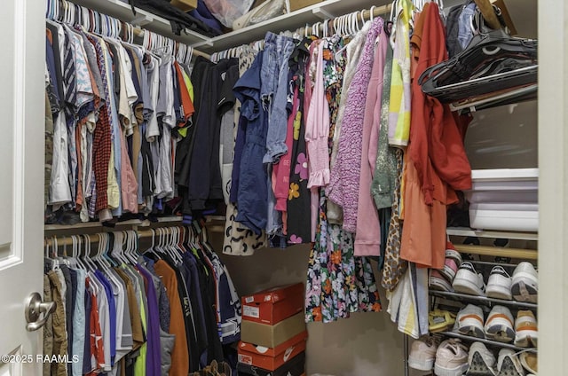 view of walk in closet