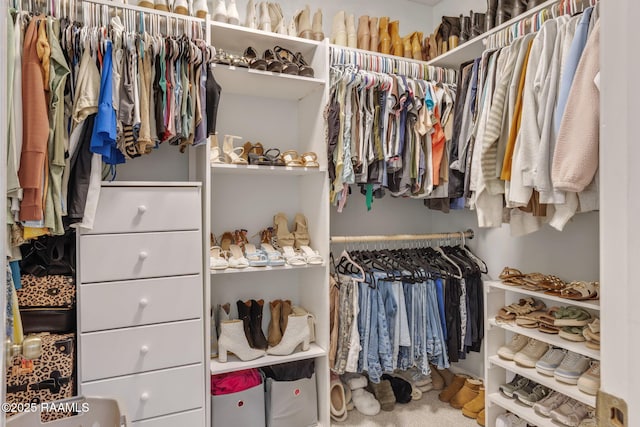 16634 W La Highway 330, Abbeville, LA 70510 - view of walk in closet