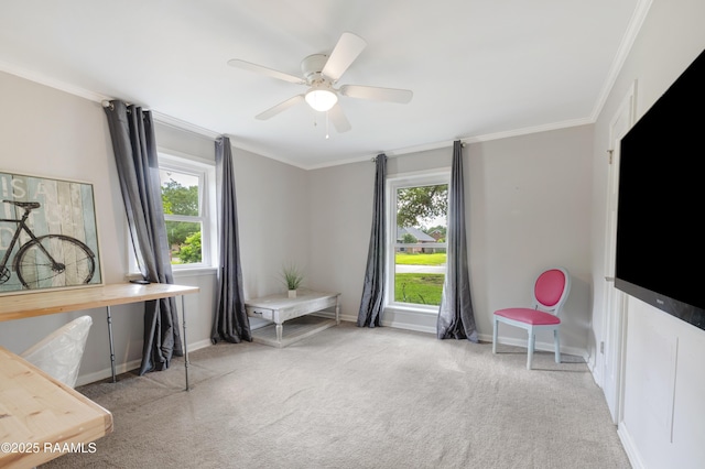 513 Emmeline St, New Iberia, LA 70563 - living area featuring healthy amount of natural light, carpet flooring, ornamental molding, baseboards, and a ceiling fan