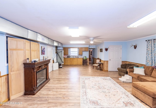 2405 S Chataignier Rd, Ville Platte, LA 70586 - living area with light wood-style flooring, wainscoting, a ceiling fan, a glass covered fireplace, and ornamental molding