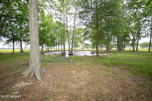 2405 S Chataignier Rd, Ville Platte, LA 70586 - view of grassy yard featuring a water view