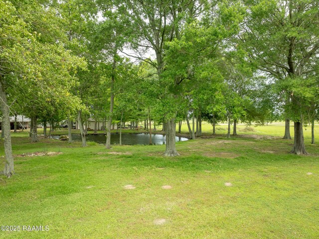 2405 S Chataignier Rd, Ville Platte, LA 70586 - view of green lawn with a water view
