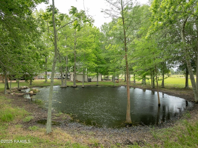 2405 S Chataignier Rd, Ville Platte, LA 70586 - water view