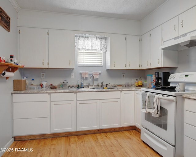 114 Marina Loop, Scott, LA 70583 - kitchen with white electric stove, under cabinet range hood, a sink, light wood-style flooring, and white cabinets