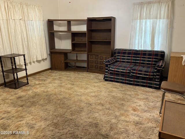 living area with carpet flooring