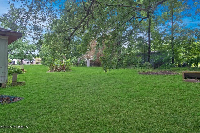 700 Guidry Rd, Lafayette, LA 70503 - view of green lawn
