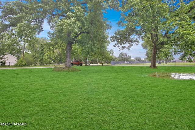 700 Guidry Rd, Lafayette, LA 70503 - view of green lawn