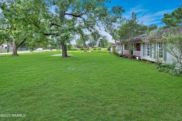 700 Guidry Rd, Lafayette, LA 70503 - view of green lawn
