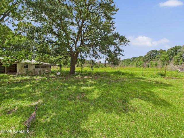 198 Jim Guillory Rd, Opelousas, LA 70570 - photo 27