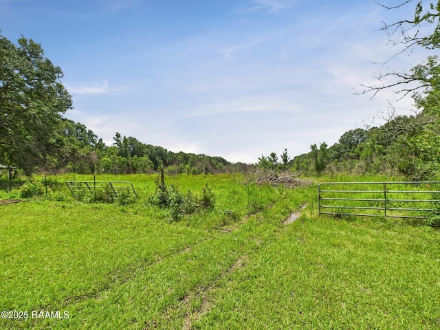 198 Jim Guillory Rd, Opelousas, LA 70570 - photo 28