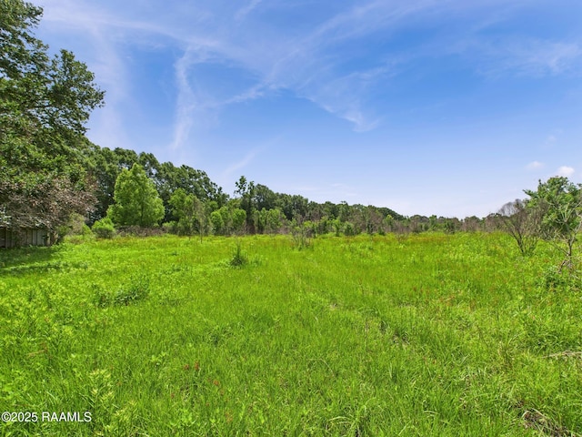 198 Jim Guillory Rd, Opelousas, LA 70570 - photo 29