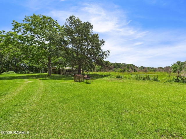 198 Jim Guillory Rd, Opelousas, LA 70570 - photo 30