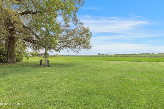 17639 Pelican Rd, Erath, LA 70533 - view of green lawn