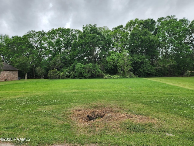 Tbd Dohmann Street, Ville Platte, LA 70586