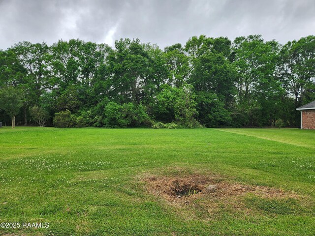 Tbd Dohmann Street, Ville Platte, LA 70586