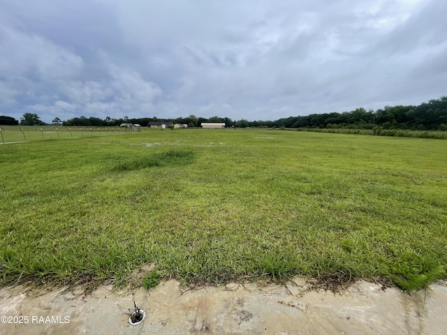 10135 Romules Rd, Kaplan, LA 70548 - photo 2