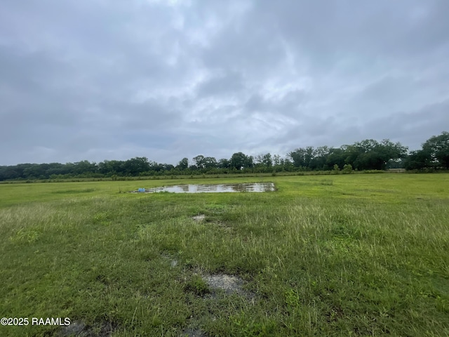 10135 Romules Rd, Kaplan, LA 70548 - photo 3
