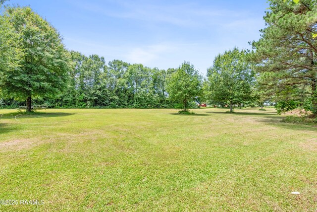 164 Live Oak Rd, Church Point, LA 70525 - photo 13