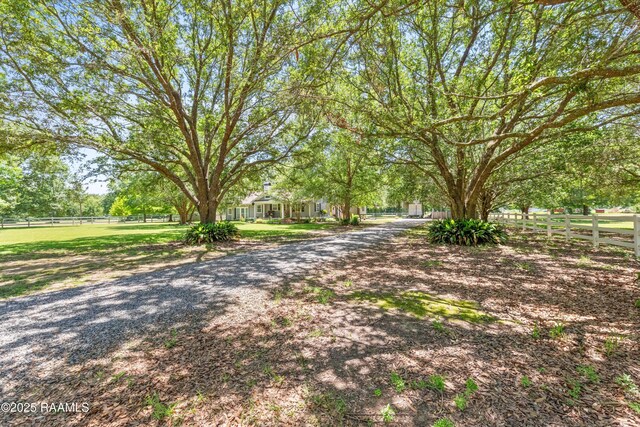164 Live Oak Rd, Church Point, LA 70525 - photo 47