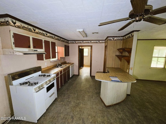 kitchen featuring open shelves, white appliances, under cabinet range hood, a sink, and ceiling fan