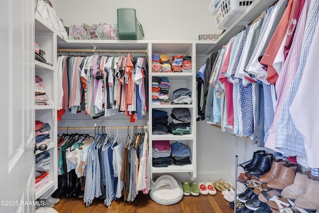 107 Harbor Walk Dr, Lafayette, LA 70508 - walk in closet with wood finished floors