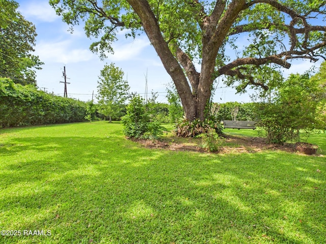 1635 Myrtle Pl, Lafayette, LA 70506 - view of green lawn