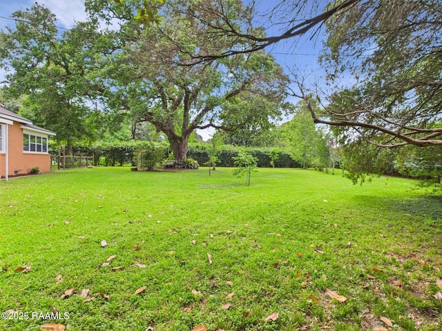 1635 Myrtle Pl, Lafayette, LA 70506 - view of yard featuring view of scattered trees
