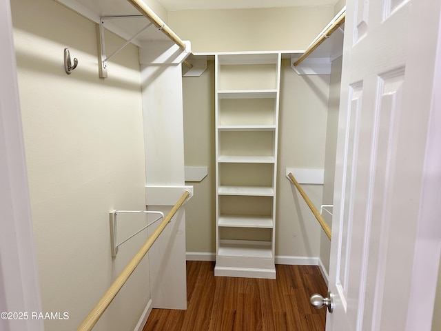 701 S College Rd Unit 208, Lafayette, LA 70503 - walk in closet with dark wood-type flooring