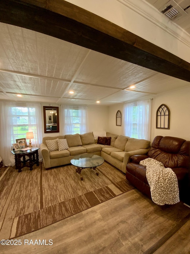 808 6th St, Rayne, LA 70578 - living area with wood finished floors and plenty of natural light