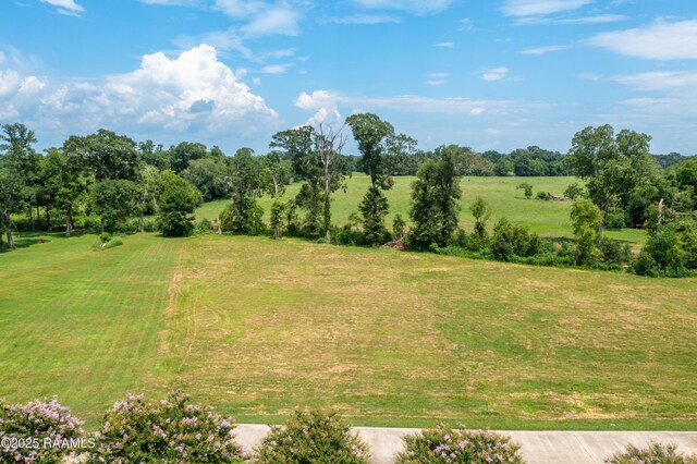 104 Leatherback Ln, Broussard, LA 70518 - photo 2
