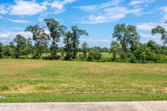 104 Leatherback Ln, Broussard, LA 70518 - photo 16